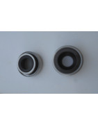 Cyclam gasket for Citroën C4A C4F water pump (diameter 17 mm)